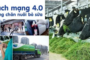 Hệ thống trang trại Vinamilk tăng trưởng ấn tượng