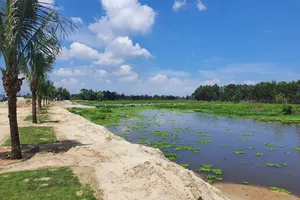 Khơi thông sông Cổ Cò, mở lối đô thị Điện Bàn