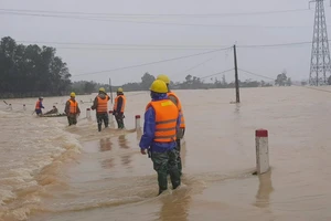 Điện lực Hà Tĩnh nỗ lực cấp điện cho người dân sau mưa lũ