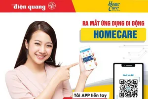 Có Điện Quang: Sửa nhà đón Tết - An toàn trên hết