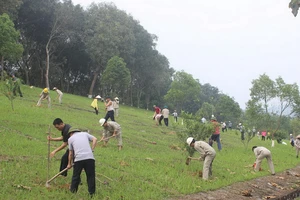 Thủy điện Thác Bà trồng cây xuân năm 2021