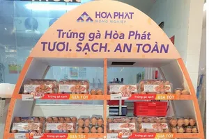 Trứng gà sạch Hòa Phát lên kệ nhiều siêu thị