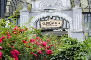 Ngắm Sa Pa đẹp lịm tim dù vắng bóng du khách