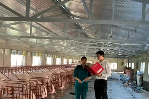 Agribank duy trì tăng trưởng tín dụng, góp phần phục hồi nền kinh tế