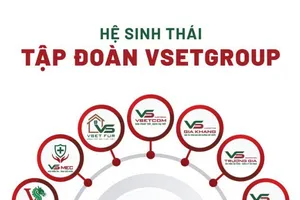VsetGroup đổi mới để bứt phá vào năm 2022