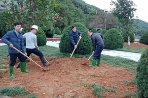 Thủy điện Thác Bà: Tích cực trồng cây, nhớ lời Bác Hồ dạy