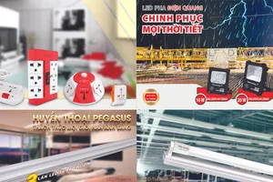 Điện Quang được vinh danh tại Lễ trao giải Sao Vàng Đất Việt 2021