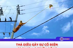 EVNCPC: Cảnh báo nguy cơ mất an toàn điện do thả diều
