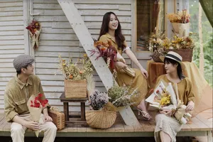 Wilddaisy - Shop Hoa khô Hà Nội uy tín