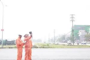 Điện lực Ninh Bình sẵn sàng cấp điện phục vụ ‘Festival Tràng An kết nối di sản năm 2022’