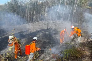 Truyền tải điện Thừa Thiên - Huế phát hiện nhanh, xử lý sớm đám cháy gần hành lang lưới điện tại xã Thủy Bằng