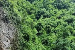 Mưa lũ, sạt lở đất ảnh hưởng đến vận hành nguồn và lưới điện