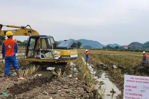 EVNNPT triển khai thi công đường dây 500 kV Nam Định I - Thanh Hóa