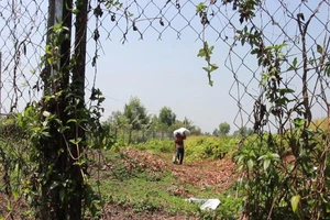 Người dân Tiền Giang chui vào hành lang đường cao tốc. Ảnh: H.N