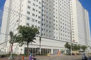 Chủ đầu tư dự án Topaz Home bị phạt 285 triệu đồng