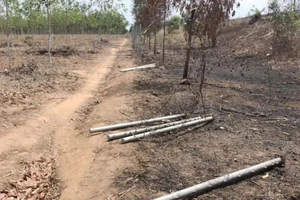 Hàng rào trên cao tốc Long Thành-Dầu Giây bị tháo trộm