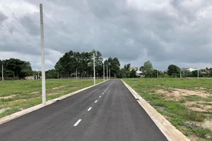 Đồng Nai phát hiện hàng loạt vụ phân lô bán nền trái phép