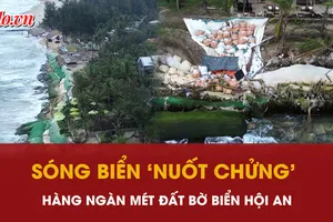 Bờ biển Hội An tan hoang, sóng nuốt chửng hàng ngàn mét đất