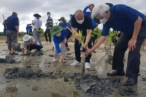 Ông Lưu Bình Nhưỡng - Phó Trưởng Ban Dân nguyện tham gia trồng cây xanh. Ảnh: Công Nguyên