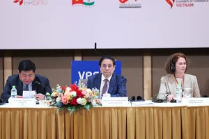 Doanh nghiệp nước ngoài muốn đầu tư vào Việt Nam nhưng lo thiếu điện