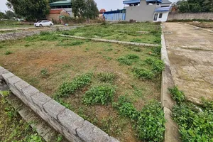 Kỳ vọng vào sự phục hồi kênh đầu tư đất nền trong năm 2024 