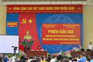 Đấu giá đất vùng ven Hà Nội: Lý do gì giá cao ngất ngưởng?