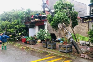 1 phần lưới điện ở Quảng Ninh, Thái Nguyên... ảnh hưởng do bão số 3 đã được phục hồi