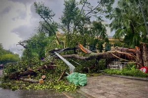 Hà Nội ra công văn hoả tốc về giải tỏa cây xanh sau bão số 3 Yagi