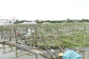 Xem xét miễn, giảm lãi suất, thuế cho các trường hợp bị thiệt hại sau bão số 3