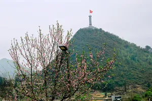 Chùm ảnh: Rực rỡ sắc đào ở Lô Lô Chải