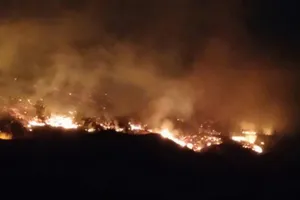 Thủ tướng chỉ đạo khẩn sau 2 vụ cháy rừng ở Quảng Ninh