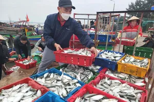 Chi tiết về 5 hộ kinh doanh đạt doanh thu trên 200 tỉ