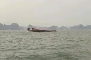 Chủ tịch TP Hà Nội yêu cầu hỗ trợ kịp thời các nạn nhân vụ tàu Vịnh Xanh bị lật