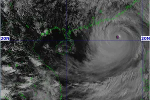 Thủ tướng chỉ đạo tập trung triển khai công tác ứng phó bão số 9