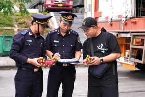 Nghị định 167 về thủ tục hải quan: Cụ thể hóa bộ tứ chiến lược, mang lại lợi ích cho doanh nghiệp