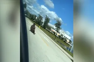 VIDEO: Khỏa thân chạy rông, ngôi sao bóng bầu dục Mỹ bị bắt, phải viết kiểm điểm