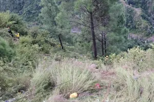 Ấn Độ: 1 ngày, 2 vụ tai nạn thảm khốc khiến hàng chục người thiệt mạng 