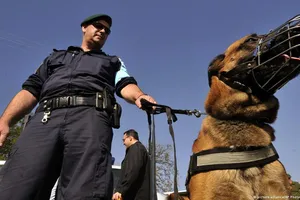 Thanh niên bị bắt vì cắn chó nghiệp vụ, chống người thi hành công vụ 