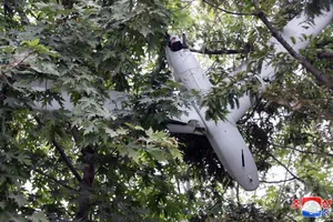 Triều Tiên đăng ảnh chụp UAV bị mắc trên cây 