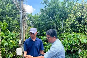 Úc giúp Tây Nguyên chắt chiu từng ‘giọt ngọc’ cho cà phê