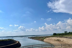 Ý tưởng độc lạ của Úc ‘nảy mầm’ trên đất Tây Nguyên 