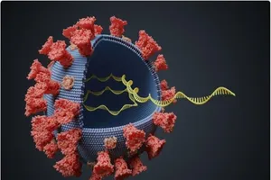 Mô hình virus SARS-CoV-2. Ảnh: SHUTTERSTOCK