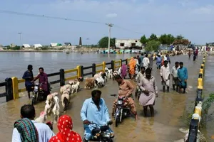 Ngập lụt quận Badin (Pakistan) vào ngày 30-8. Ảnh: REUTERS