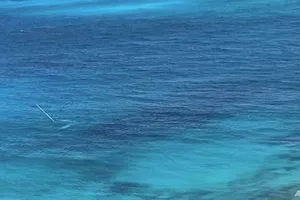 Thương tâm du khách bị cá mập tấn công khi đang chèo thuyền, không qua khỏi