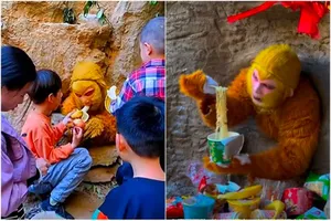 VIDEO: Chỉ cần hoá trang Tôn Ngộ Không và ăn thôi cũng nhận lương khủng