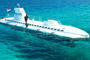 Tàu ngầm du lịch gặp nạn ở Biển Đỏ, 6 công dân Nga thiệt mạng