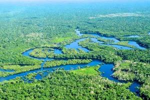 Một COP giữa rừng Amazon…