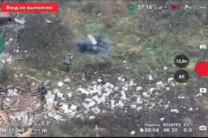 VIDEO: Heo vô tình kích trúng mìn, cứu 2 lính Nga