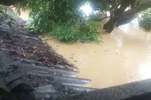 TS Huy Nguyễn kêu gọi cứu gia đình đang trú trên mái nhà giữa mưa lũ