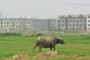 Lo ngại tăng thêm gánh nặng cho người mua nhà